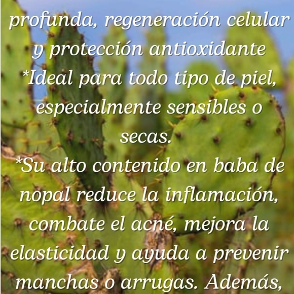 HANDMADE SOAP Nopal - Picture 2 of 2